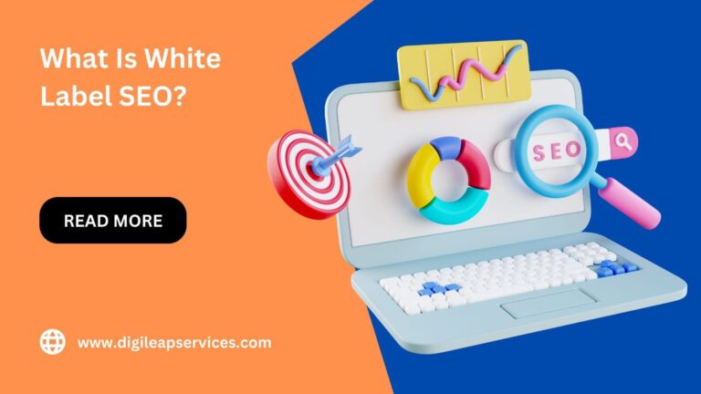 
  What Is White Label SEO?